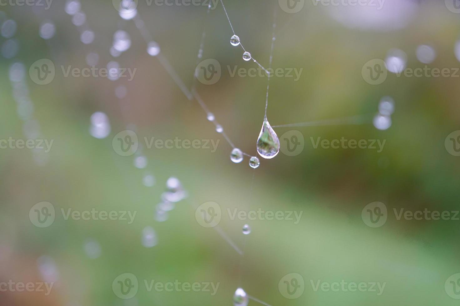 Gotas en la telaraña en días lluviosos. foto