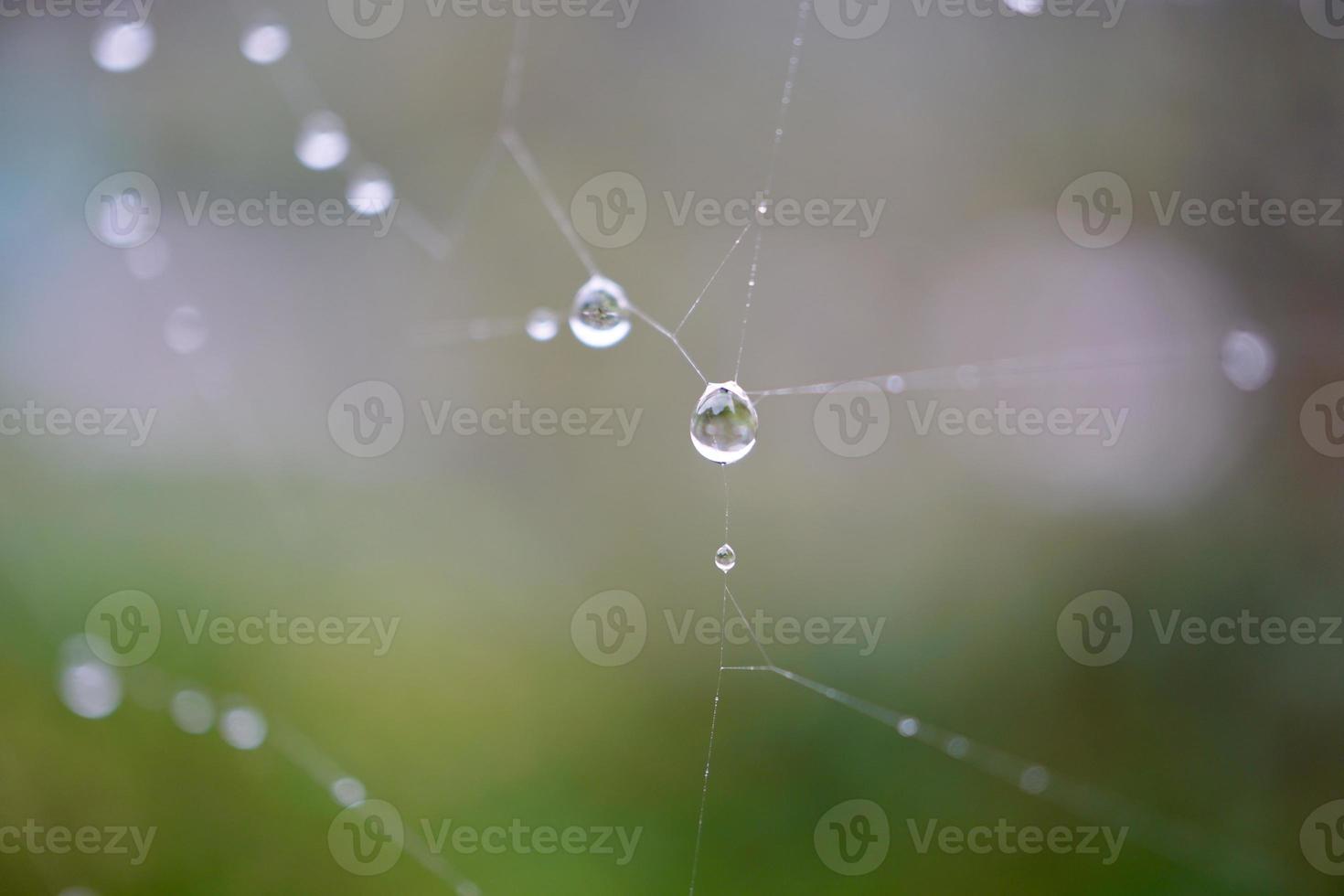 Gotas en la telaraña en días lluviosos. foto