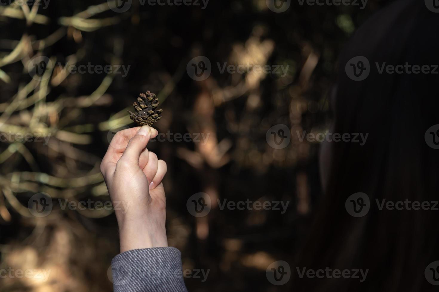 Primer plano de la mano de la mujer sosteniendo un cono de pino con un fondo borroso natural foto