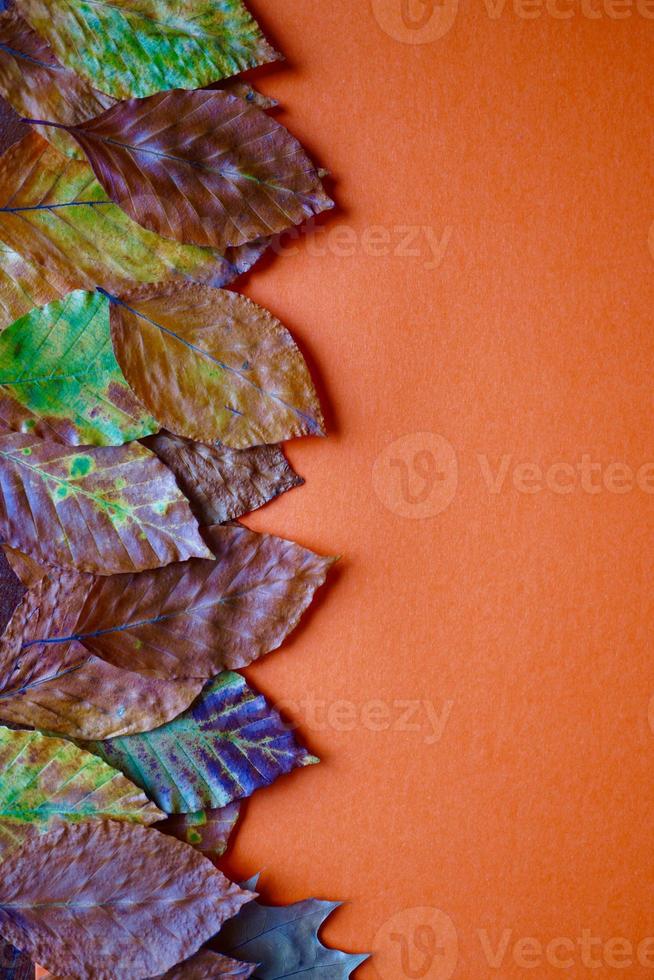 hojas secas marrones sobre fondo naranja foto