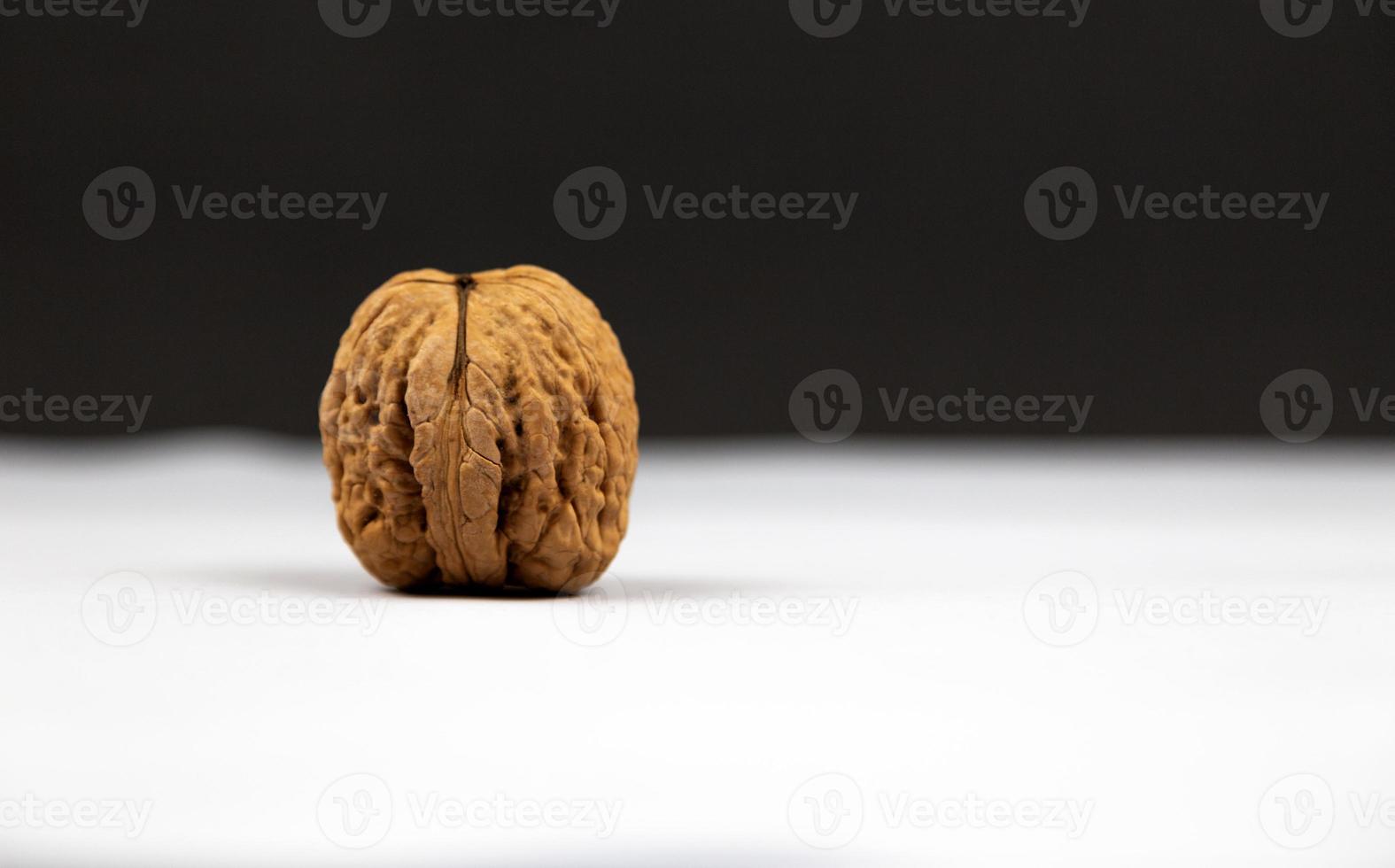 Walnut in shell close-up on gray background with copy space photo