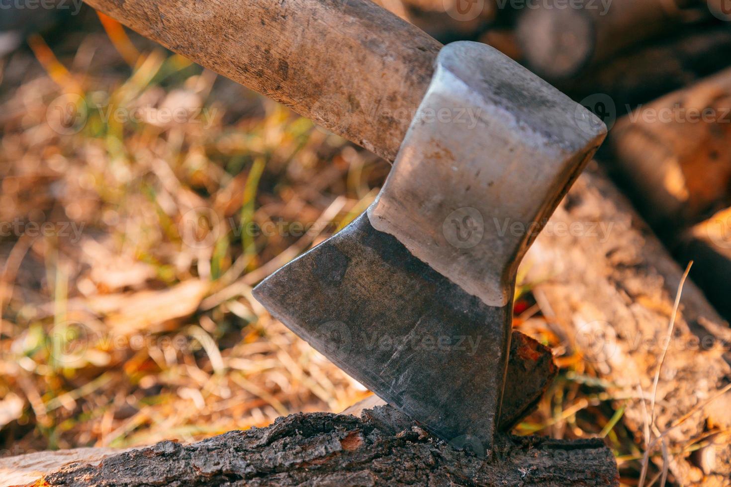Firewood and ax in wood photo