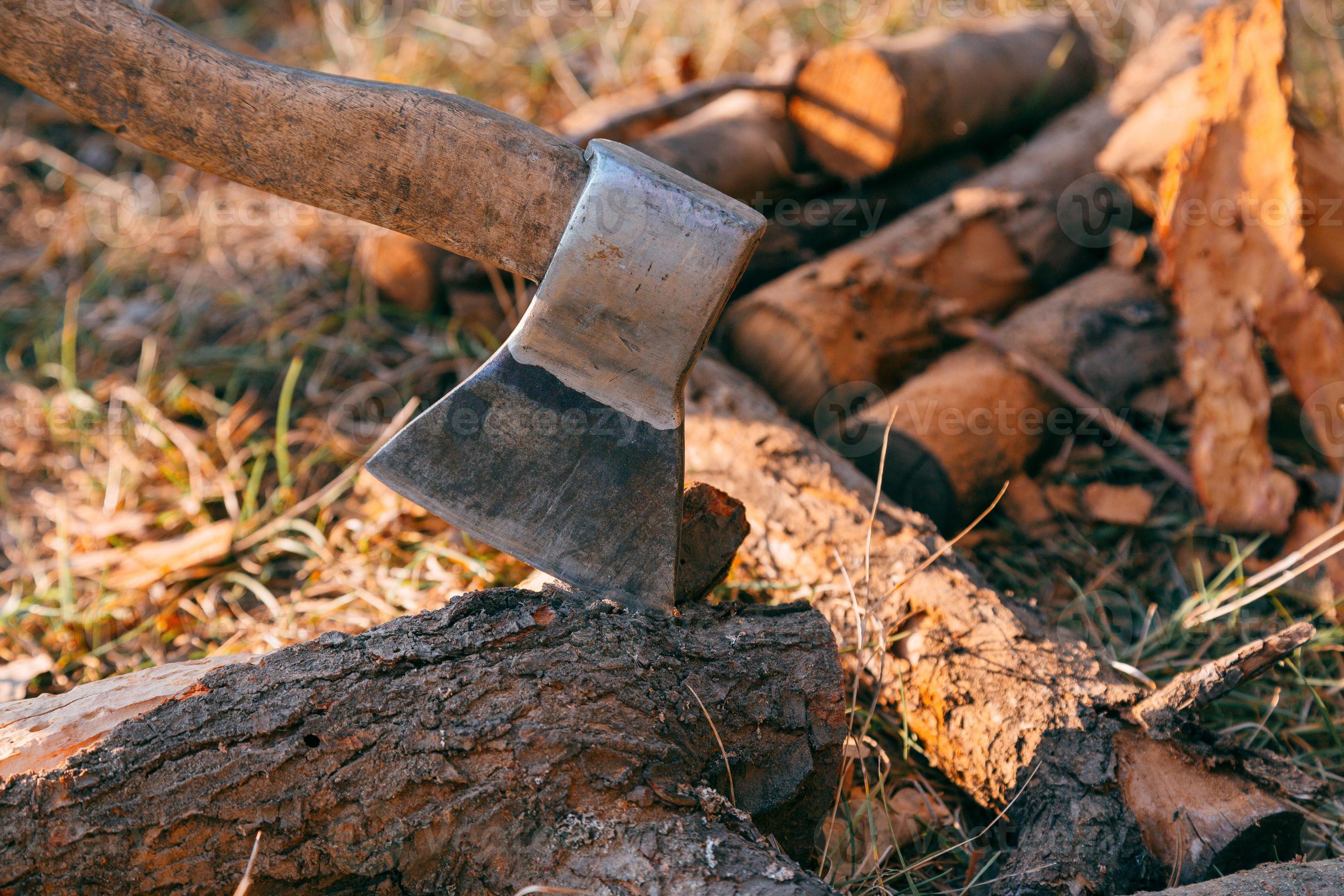 Foto de stock gratuita sobre de cerca, hacha, leña, tocón de árbol, tronco  de madera