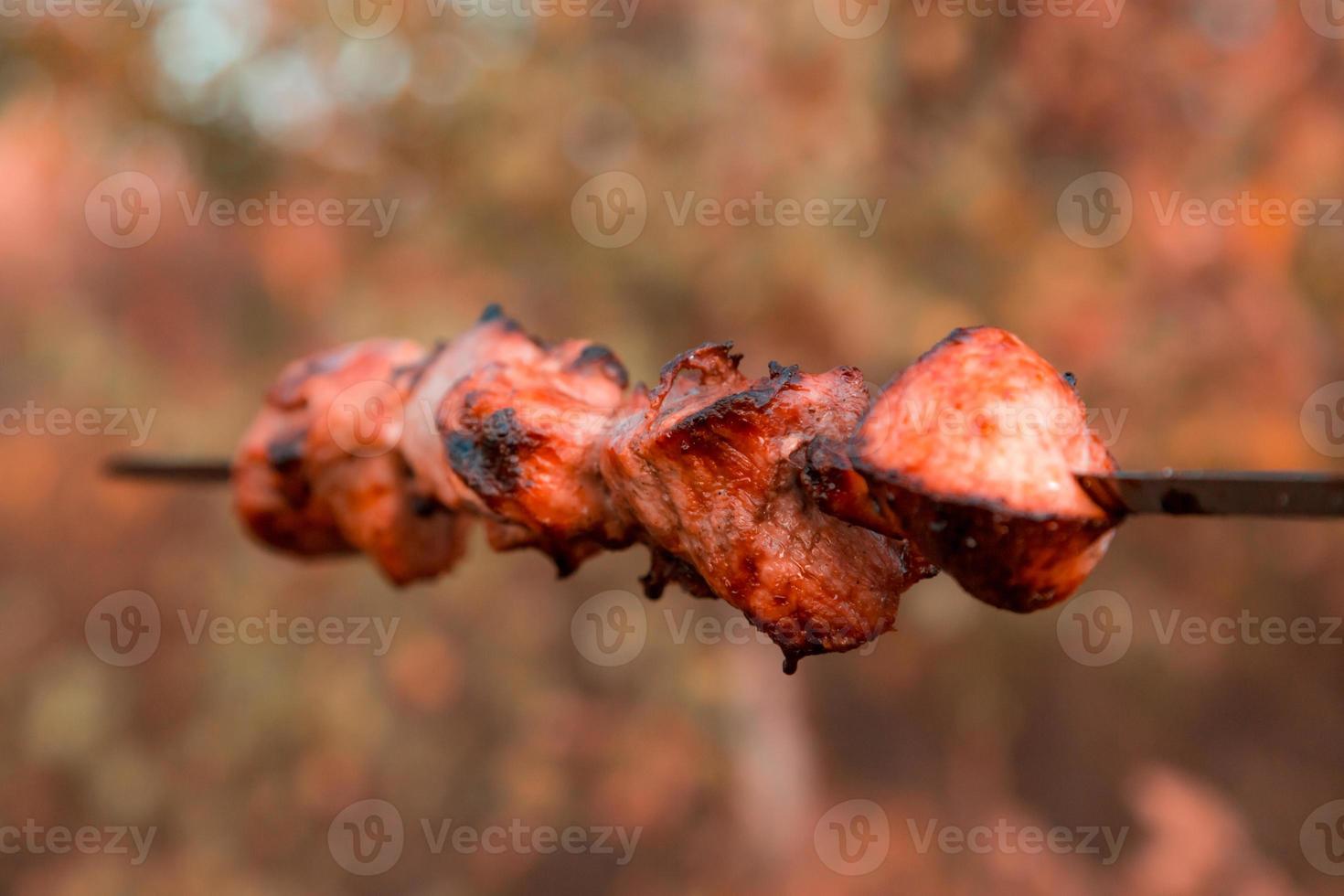 Shish kebab on skewers on blurred nature background photo