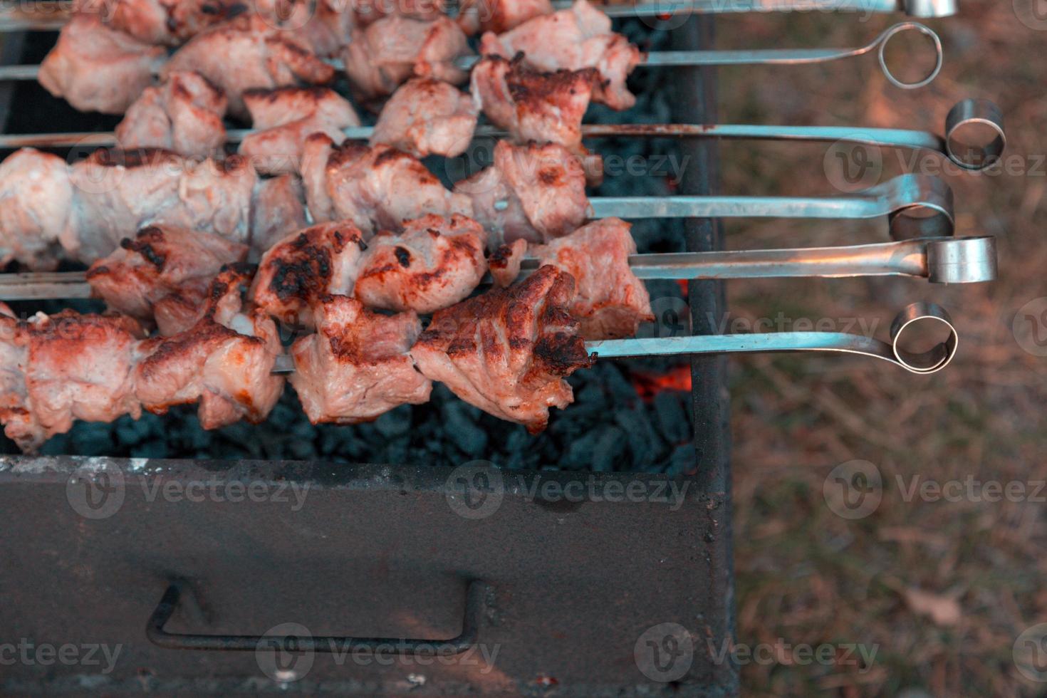 Man frying shish kebab on the grill photo