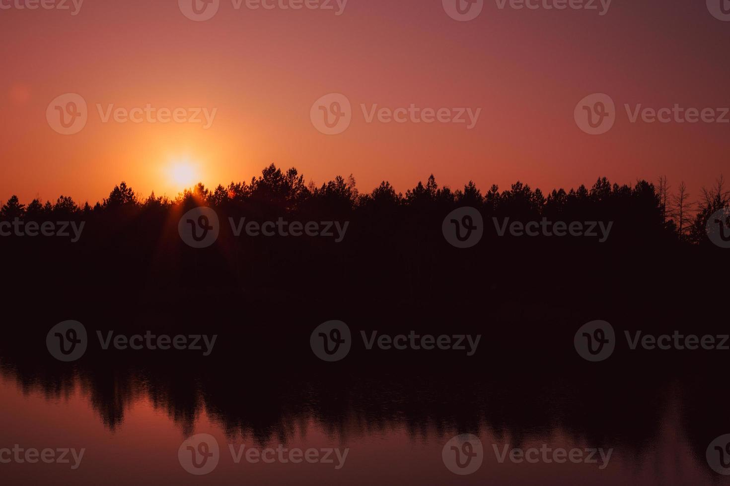 Beautiful autumn forest at sunset time photo