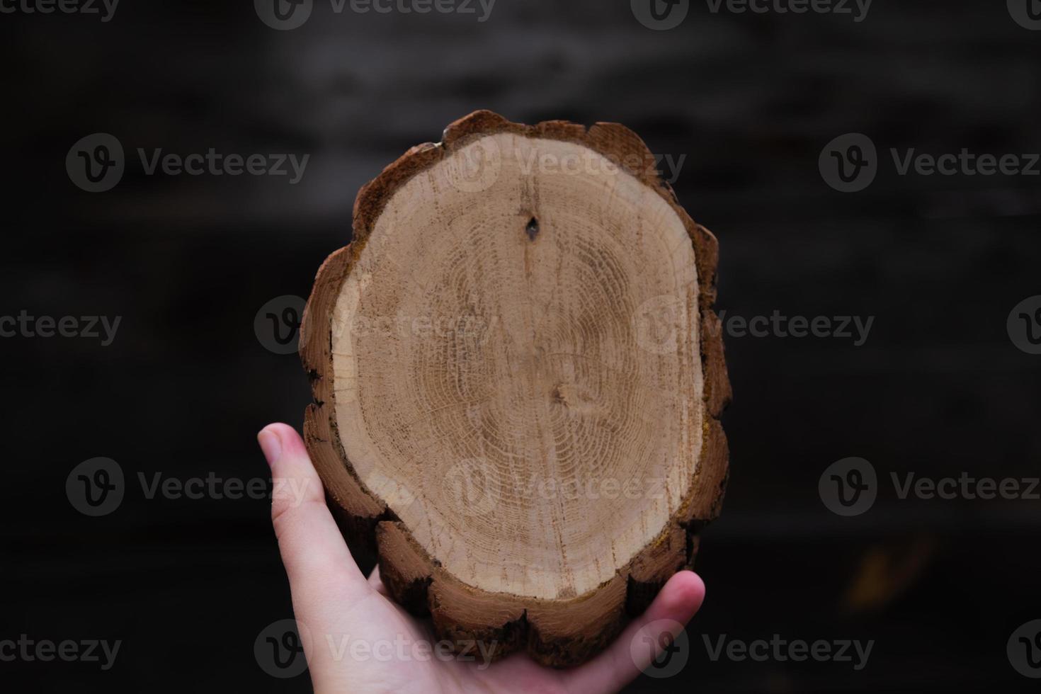 Woman's hand holding empty circular piece of wood section photo