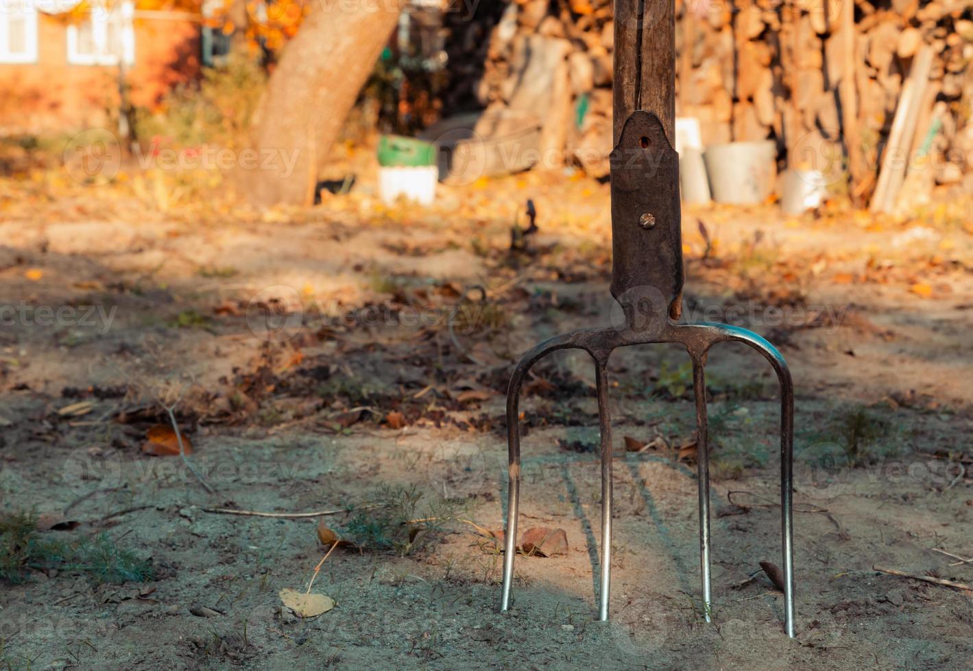 Pitchfork in the ground close up in the garden photo