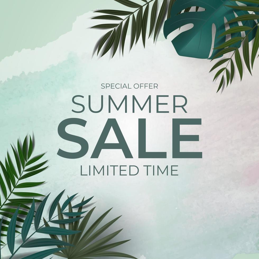 Summer Sale Natural Background with Tropical Palm Eucalyptus and Monstera Leaves vector