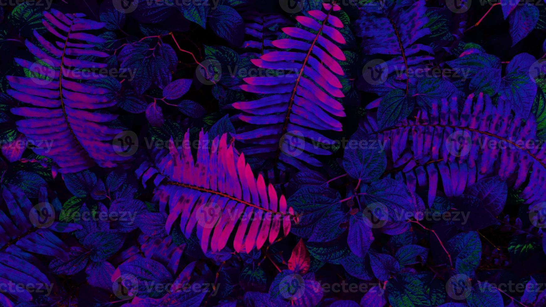 Tropical glowing leaves photo