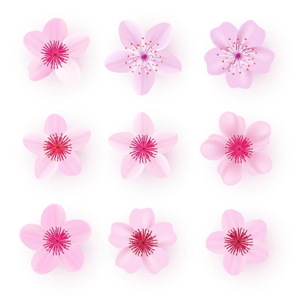 Realistic pink sakura petals icon set. Cherry petals vector