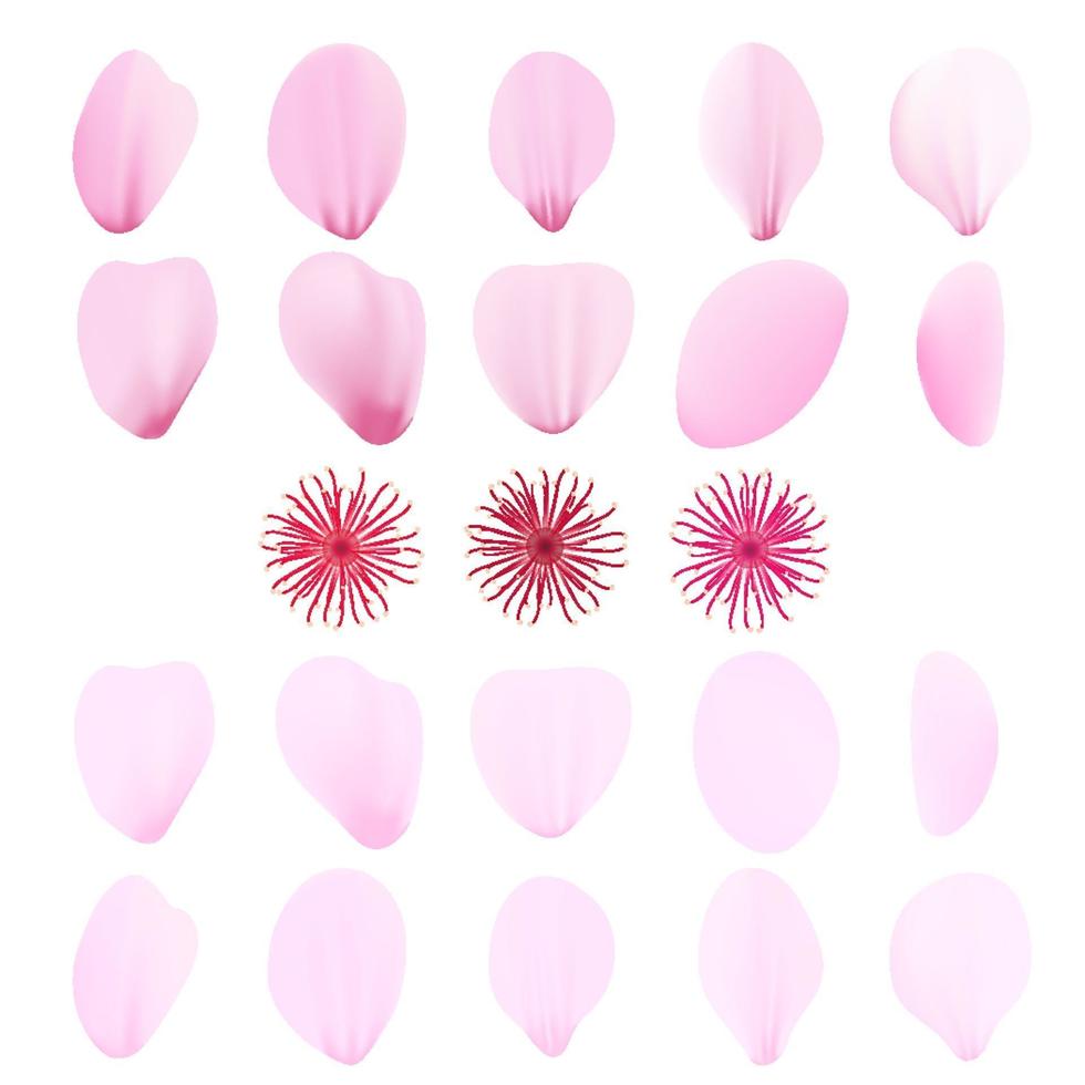 Realistic pink sakura petals icon set. Cherry petals vector