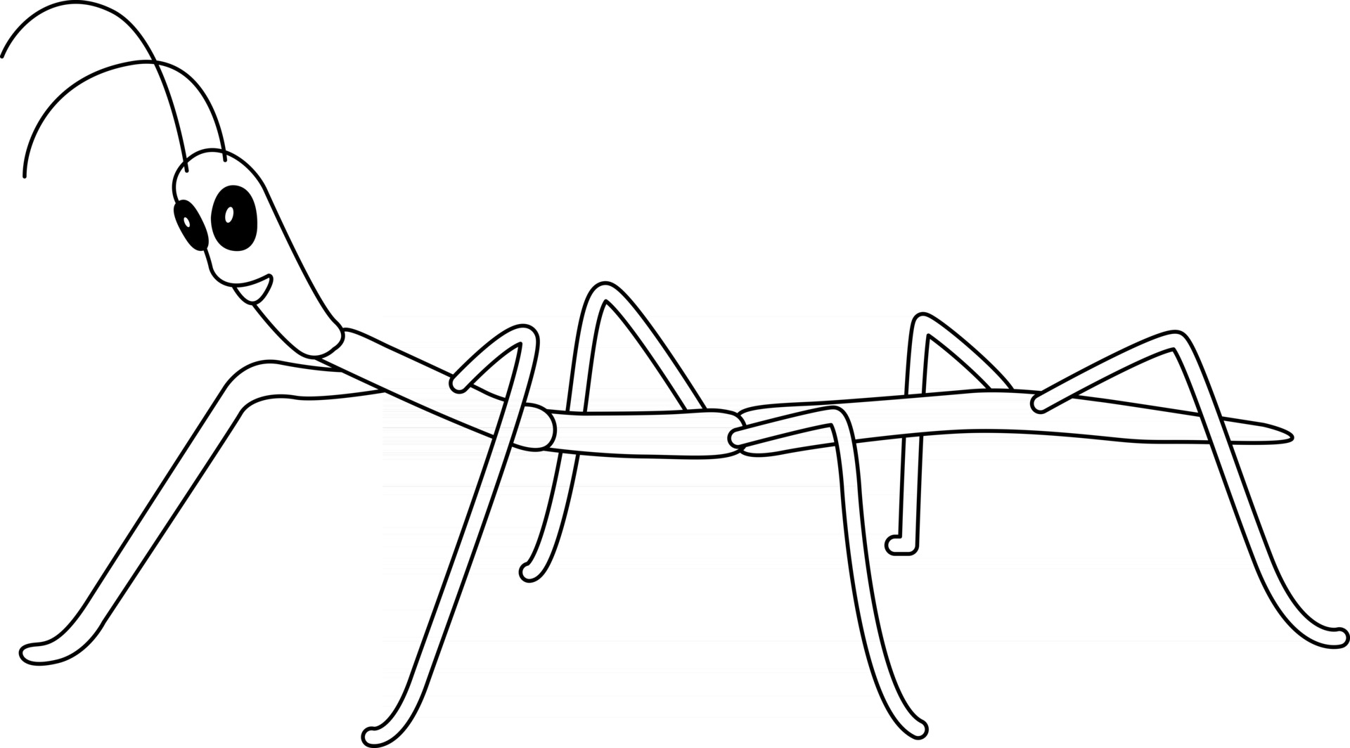 Stick Bug Kids Coloring Page Great for Beginner Coloring Book 2468203