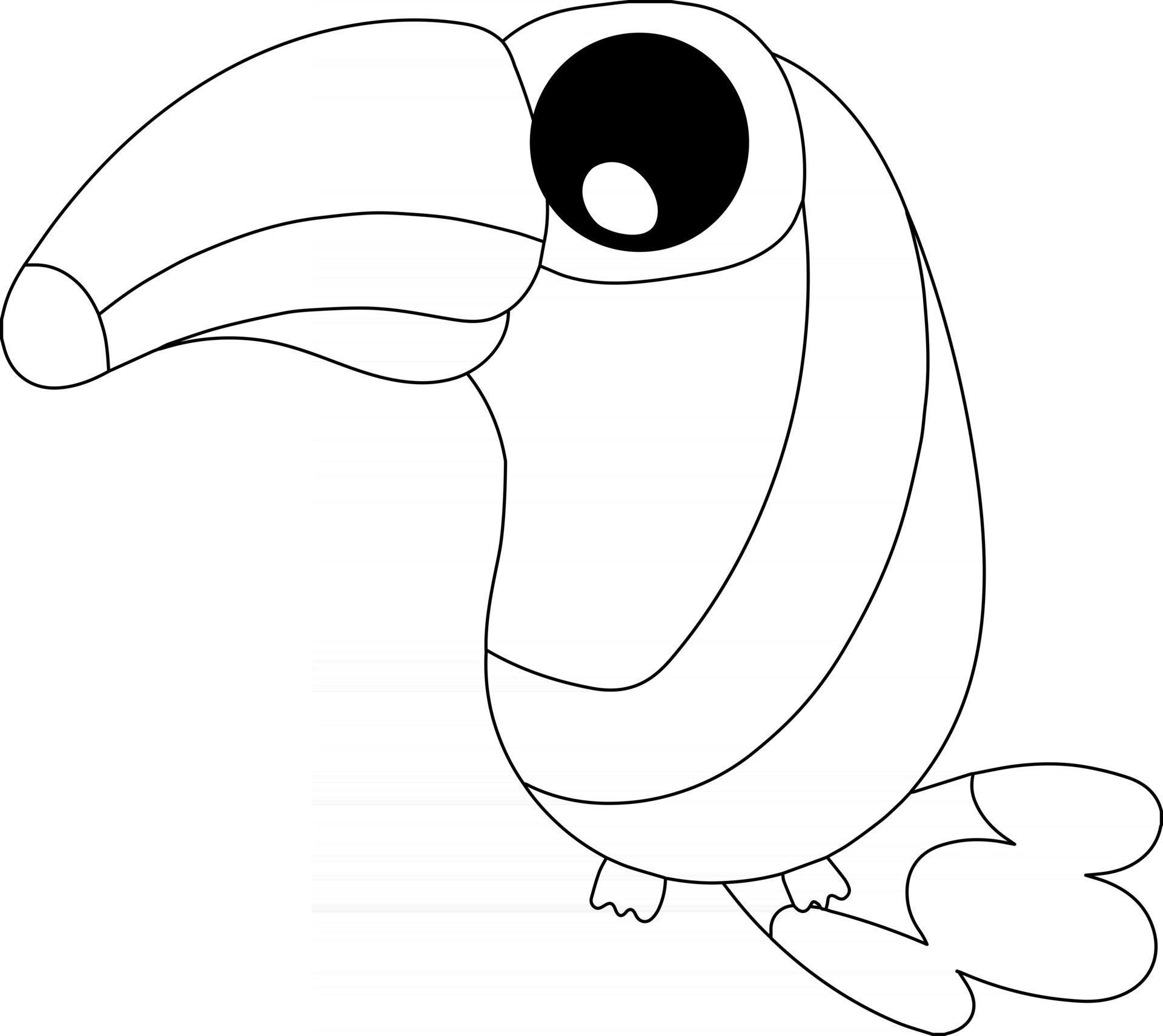 Cute Toucan Coloring Coloring Pages Cute Toucan Coloring Coloring Pages