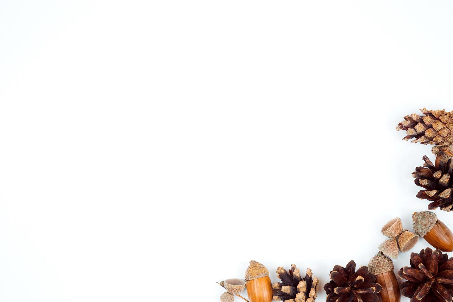 Autumn composition frame made of pine cone, acorns and chestnuts photo