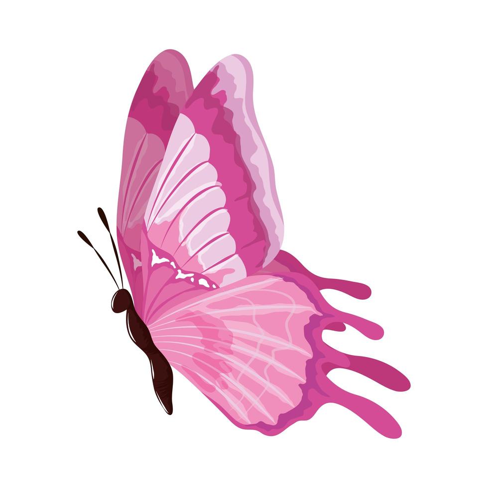 decorative pink butterfly vector