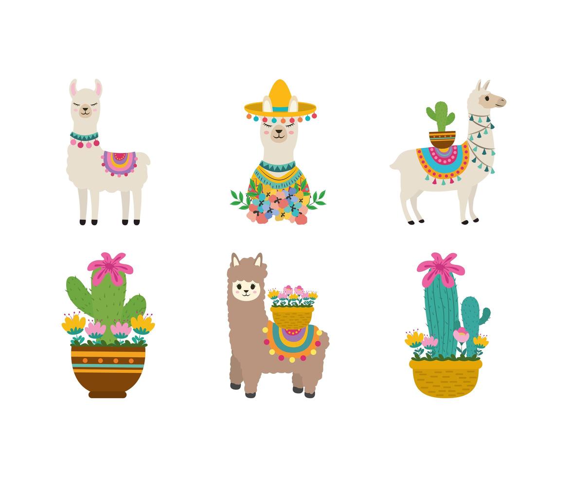 linda colección de llamas vector