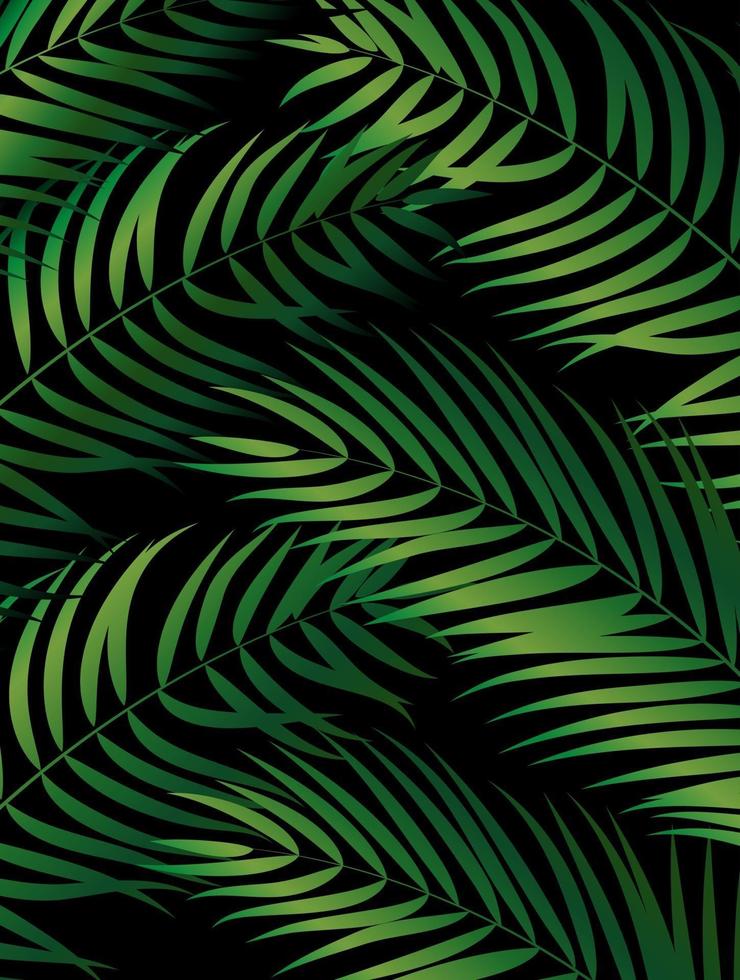 Tropical Natural Palm Background vector