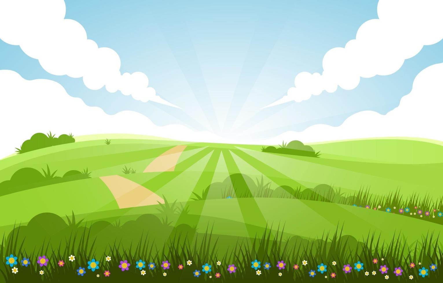 Green Field Summer Scenery Background vector