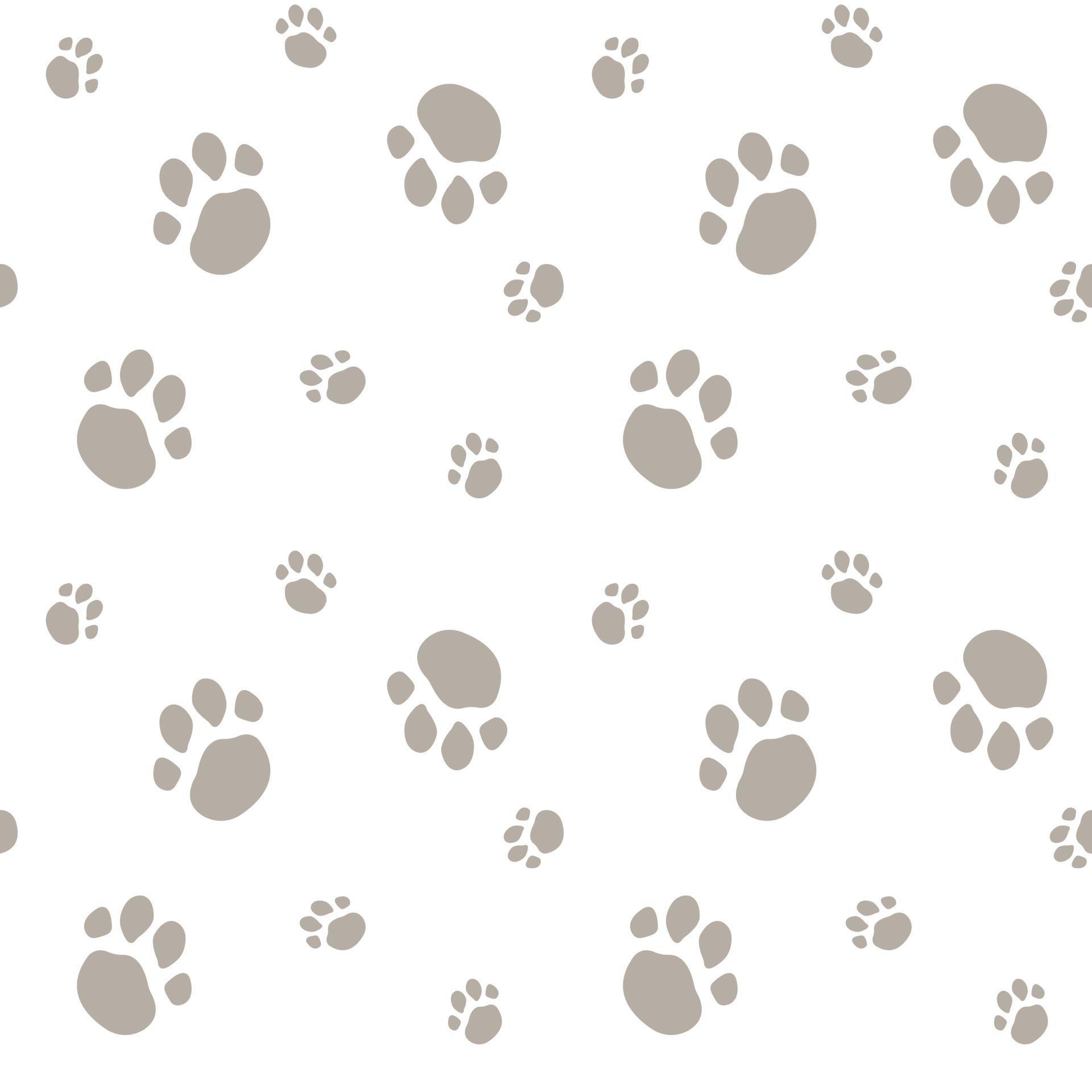Seamless pattern with animal paw prints Gray paws on a white background