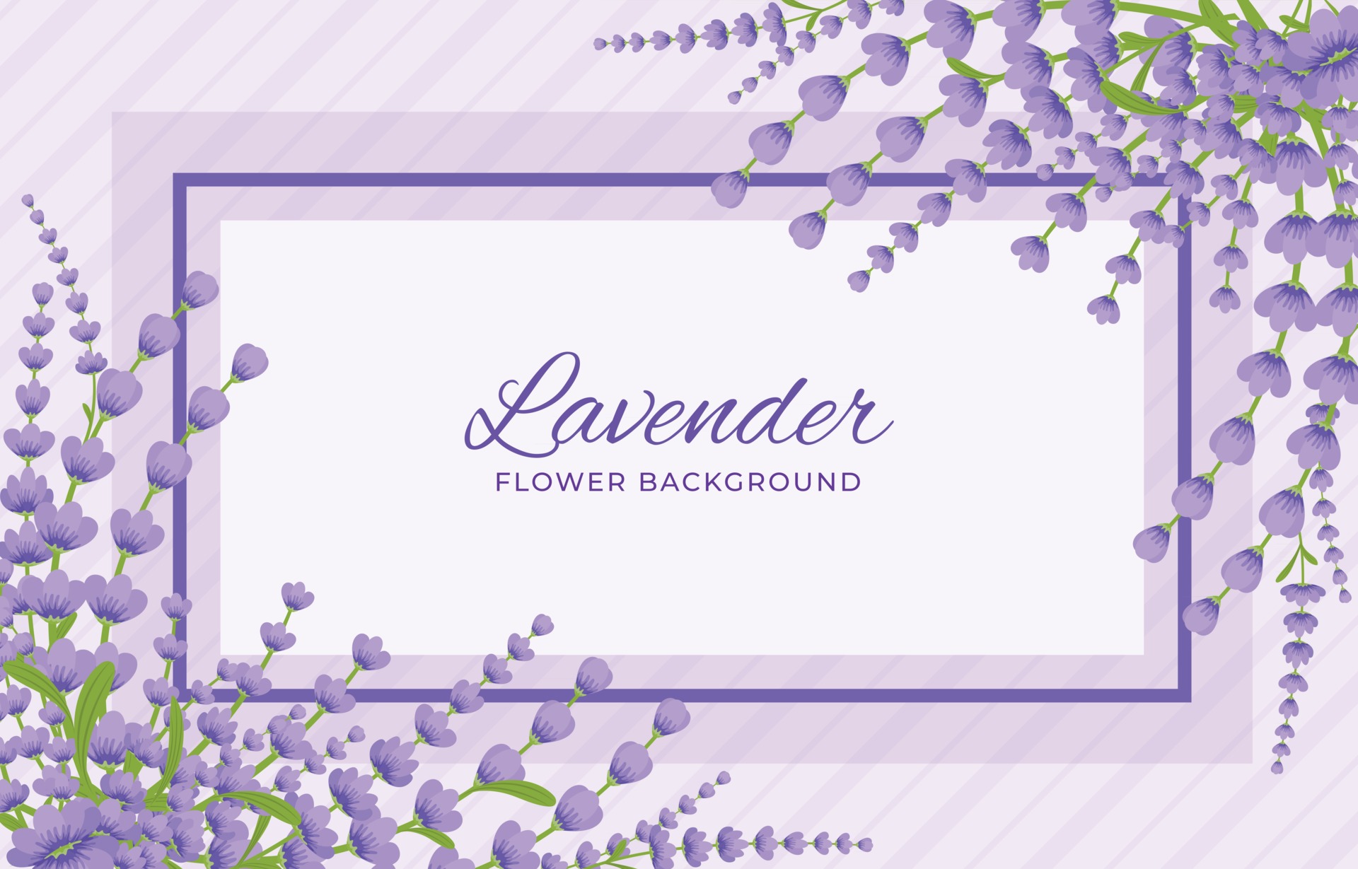 Details 300 lavender background images