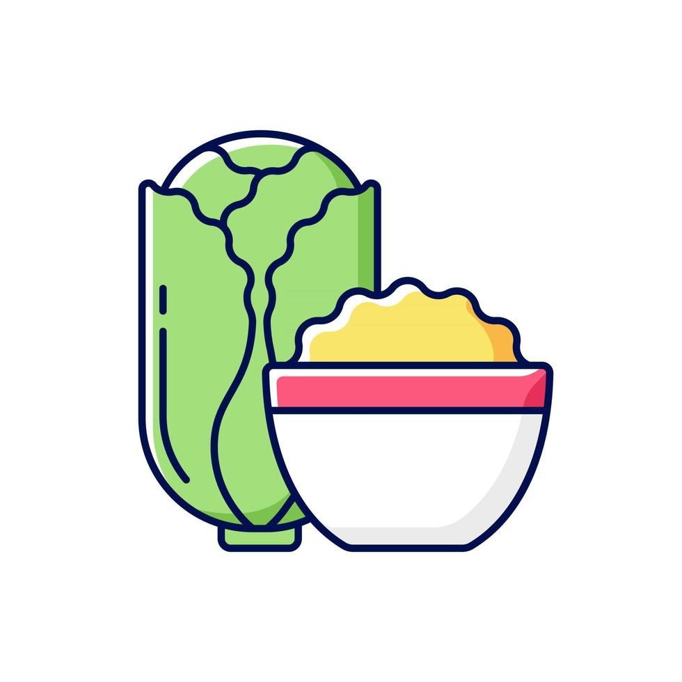 Kimchi RGB color icon vector