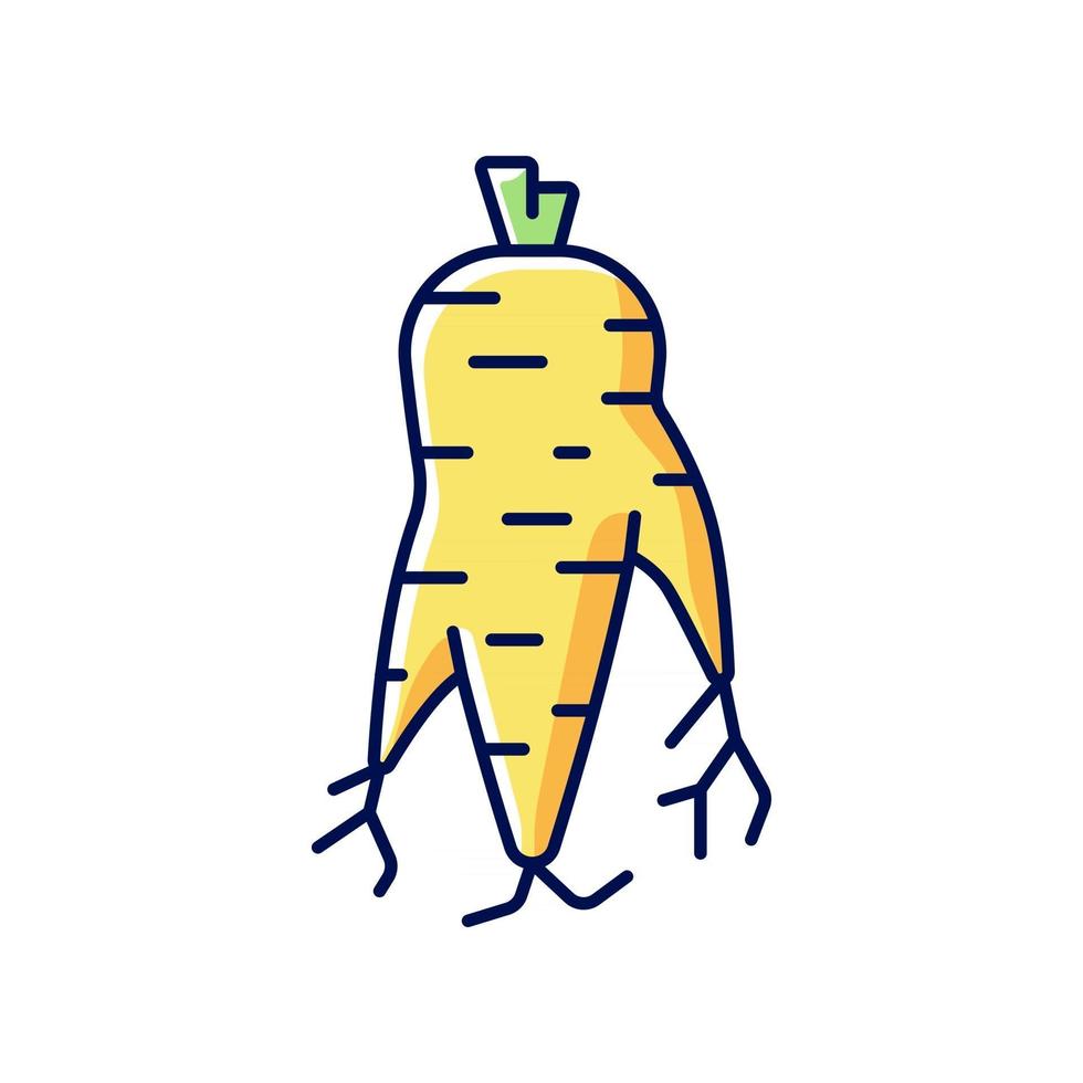 Korean ginseng root RGB color icon vector
