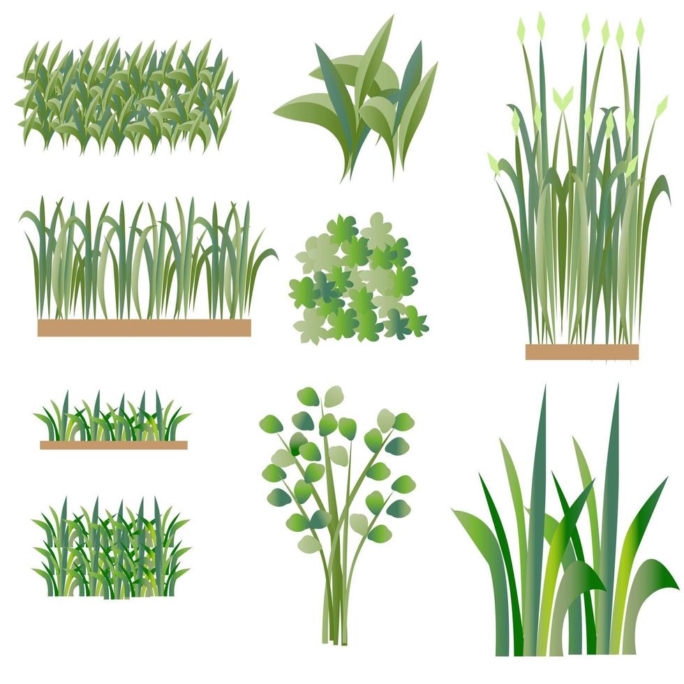 Grass and bushes set for landscape elements vector