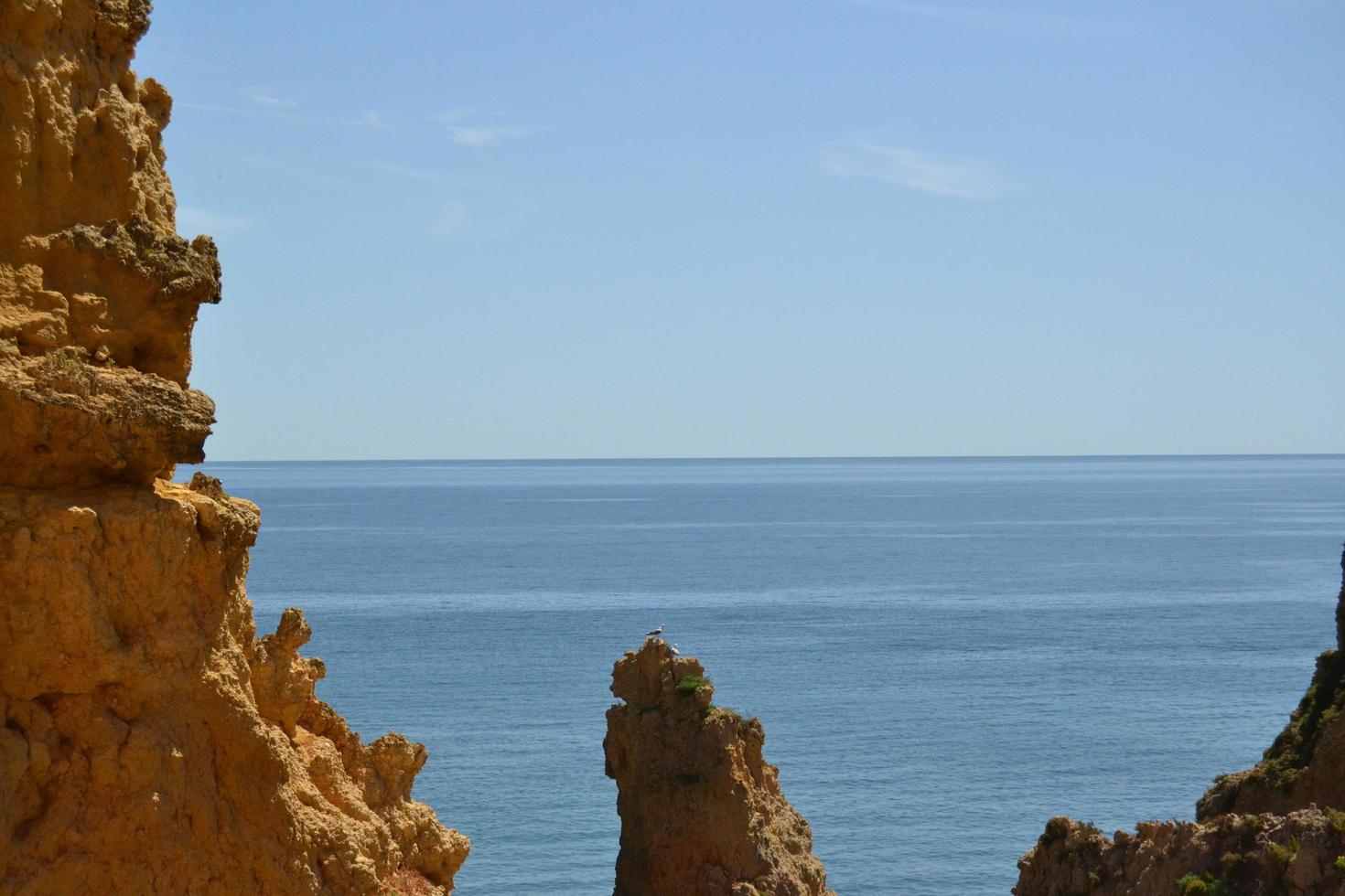 The coastline on a sunny day photo