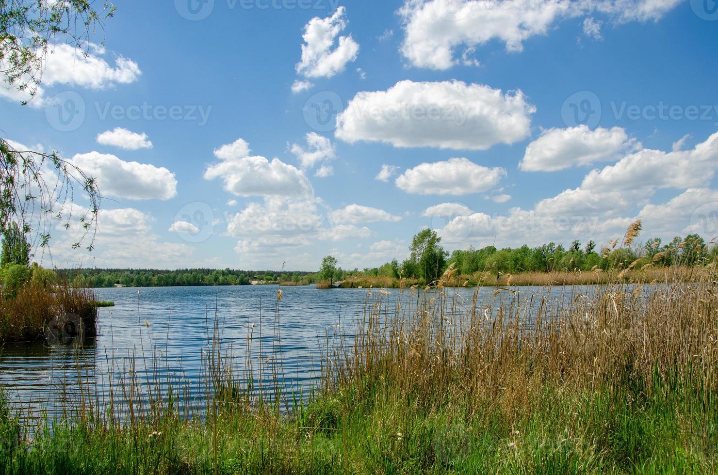 Beautiful summer sunny landscape with lake green grass and sky with clouds photo