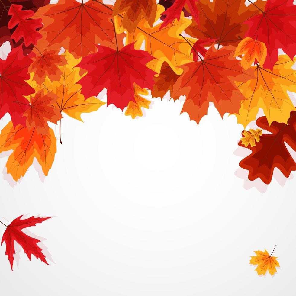 fondo de banner de hojas de otoño brillante vector