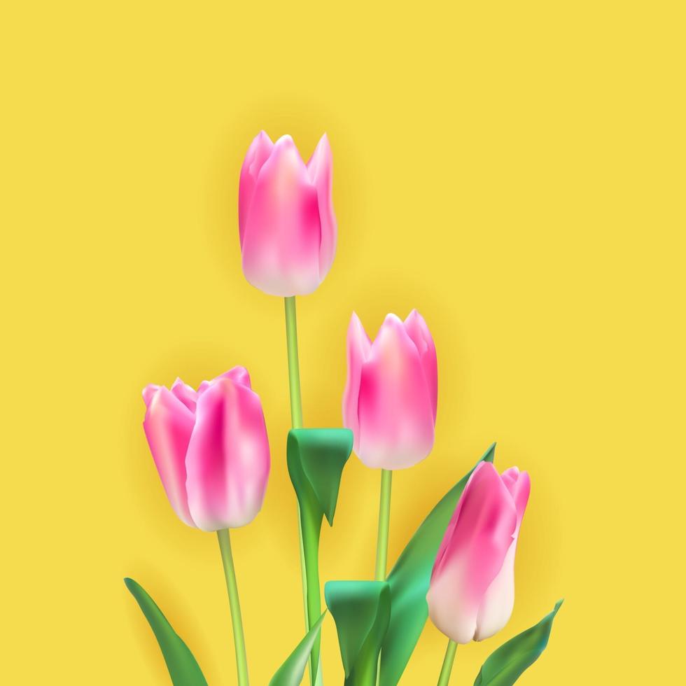 Realistic Vector Illustration Colorful Tulips Background