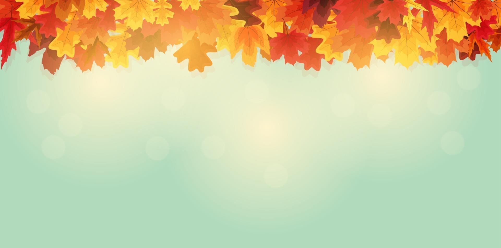 fondo de banner de hojas de otoño brillante vector