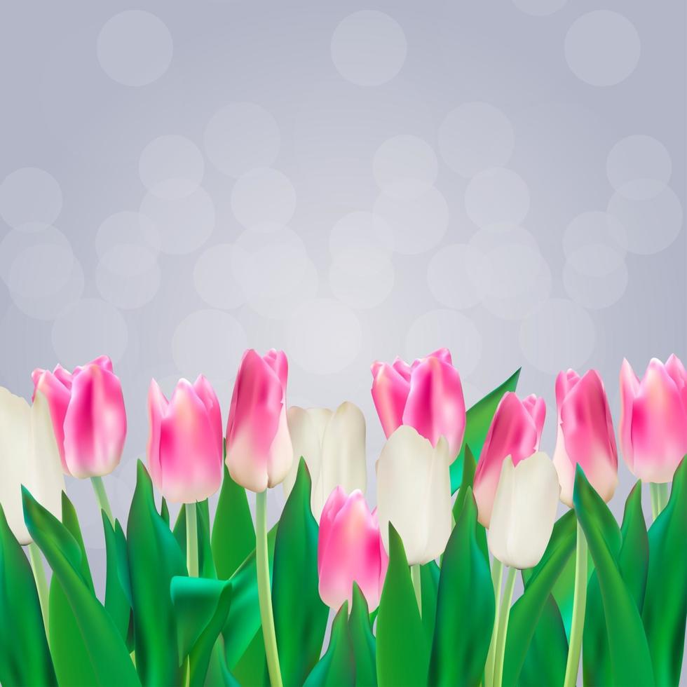 Realistic Vector Illustration Colorful Tulips Background