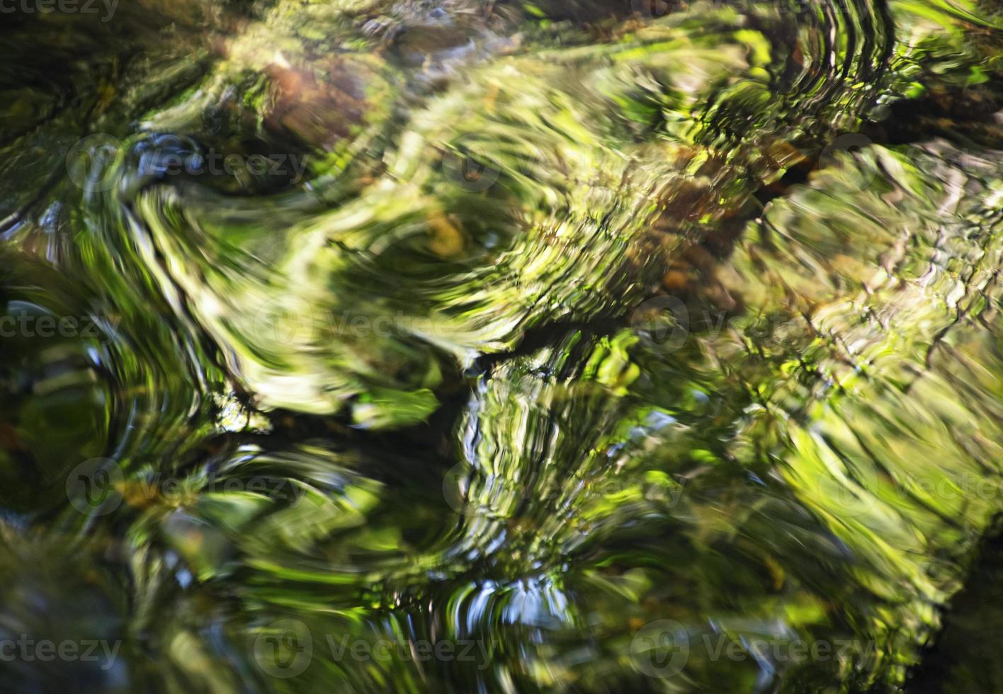 Fondo verde borroso del río del bosque foto