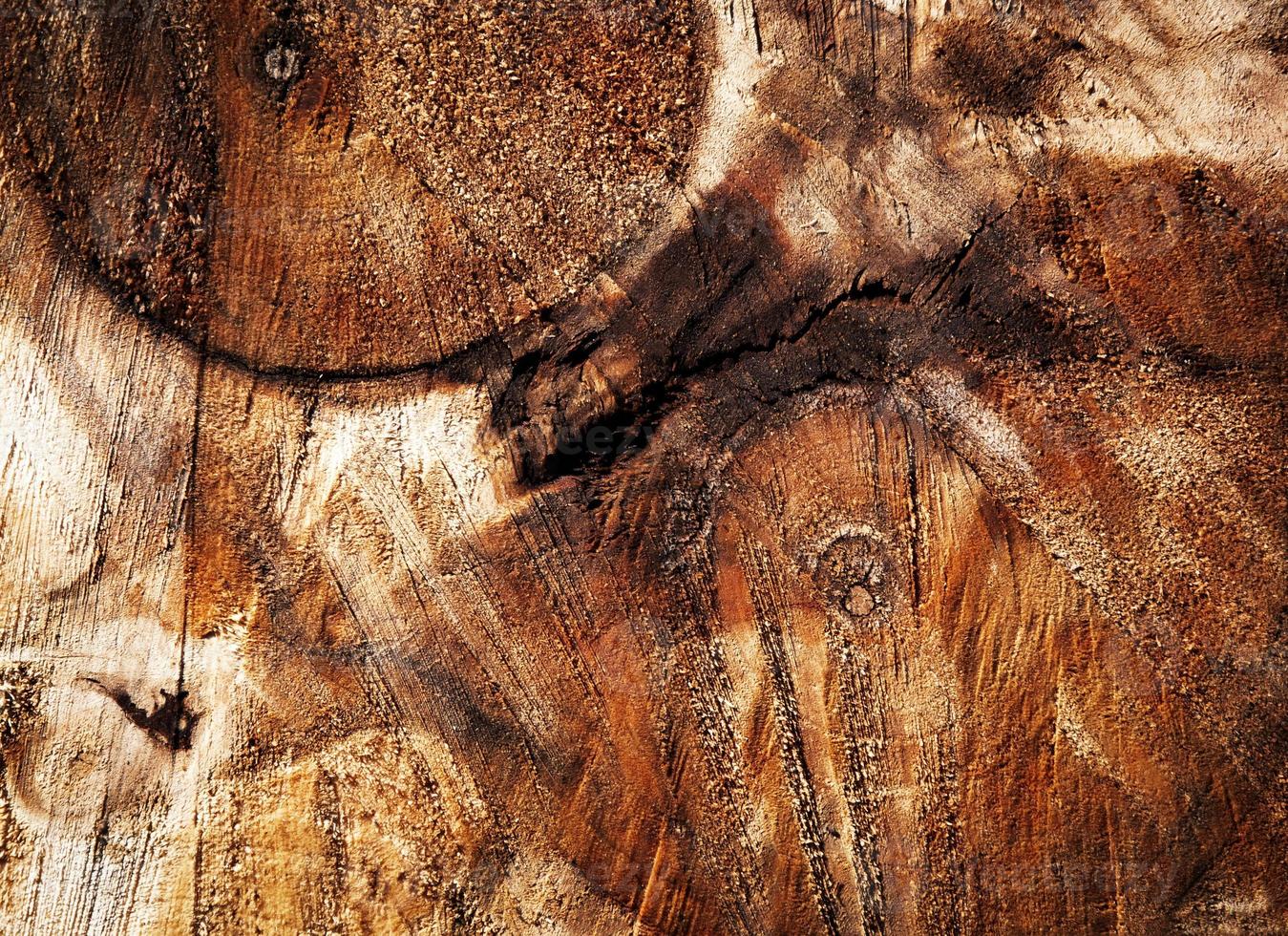Detalle abstracto sobre troncos de árboles aserrados foto