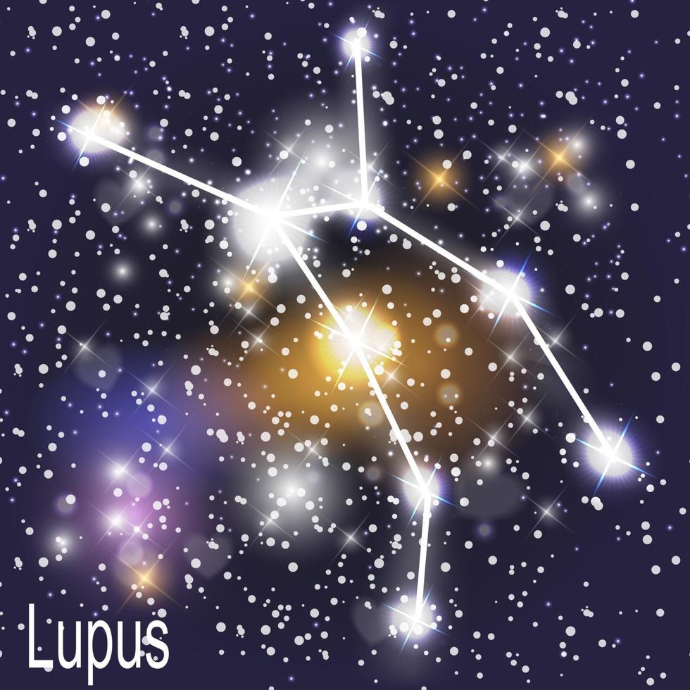 Lupus Constellation with Beautiful Bright Stars on the Background of Cosmic Sky Vector Illustration