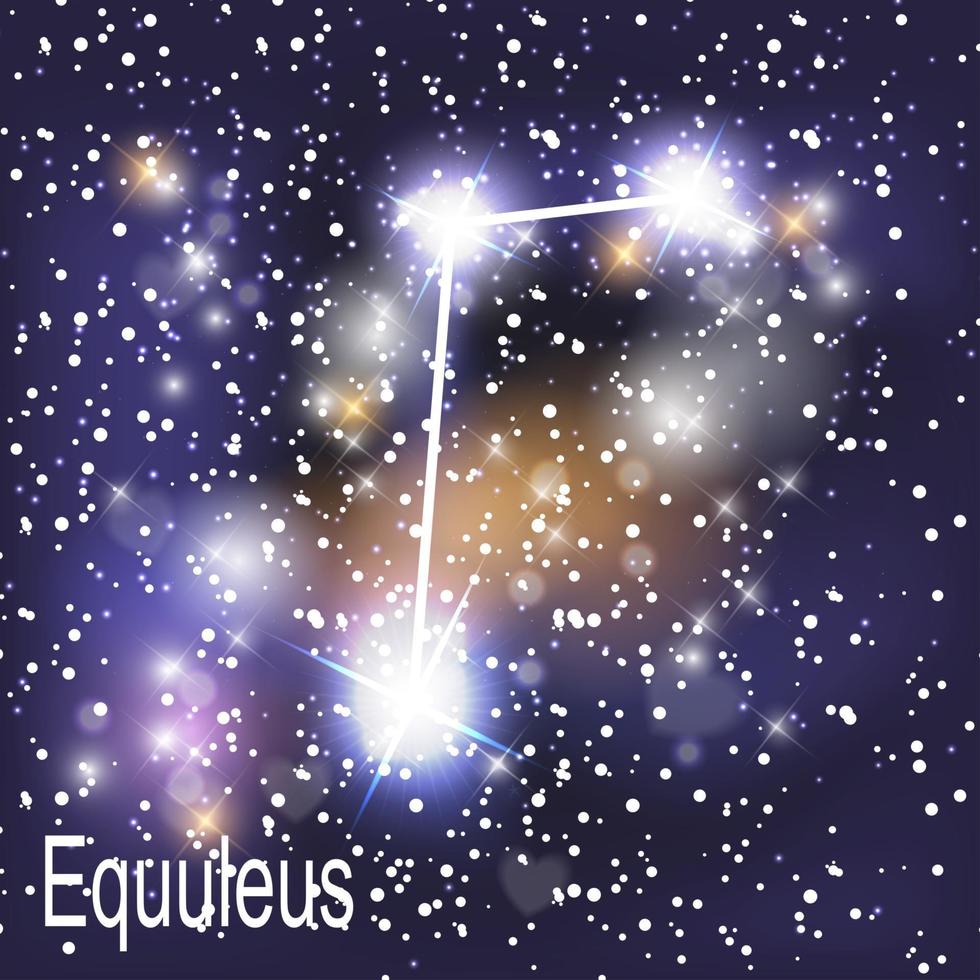 Constelación de Equuleus con hermosas estrellas brillantes en el fondo de la ilustración de vector de cielo cósmico