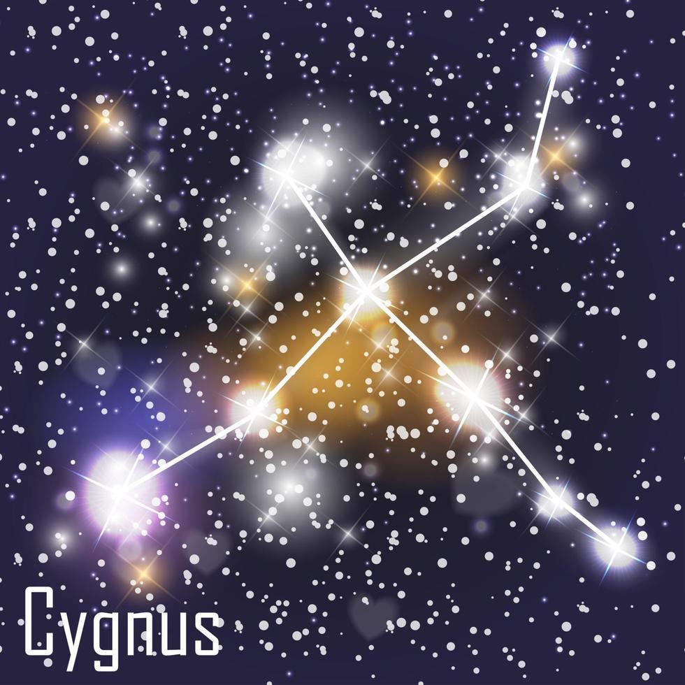 Cygnus Constellation with Beautiful Bright Stars on the Background of Cosmic Sky Vector Illustration