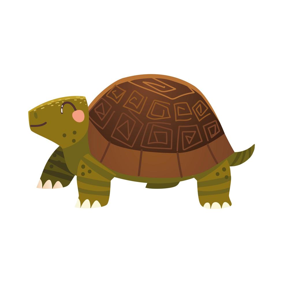 Lindo icono de animal de dibujos animados de tortuga sobre diseño de fondo blanco vector