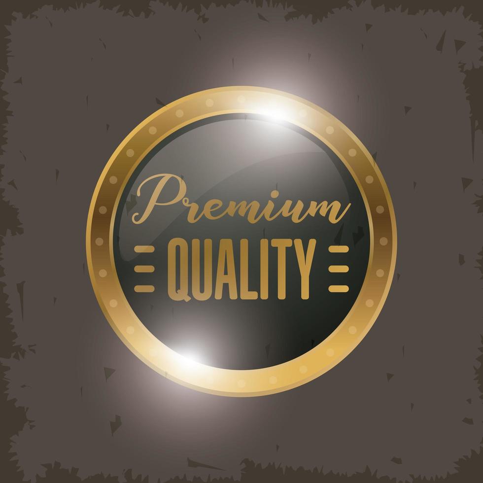 circular badge golden emblem icon vector