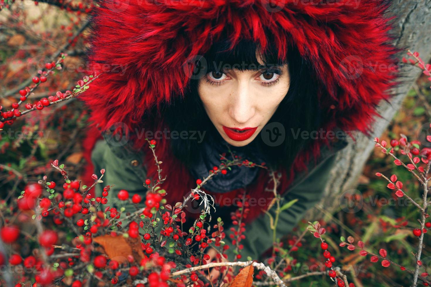 Retrato de una joven y bella mujer morena en rojo con capucha con pelo rojo en el bosque detrás de un arbusto con frutos rojos foto