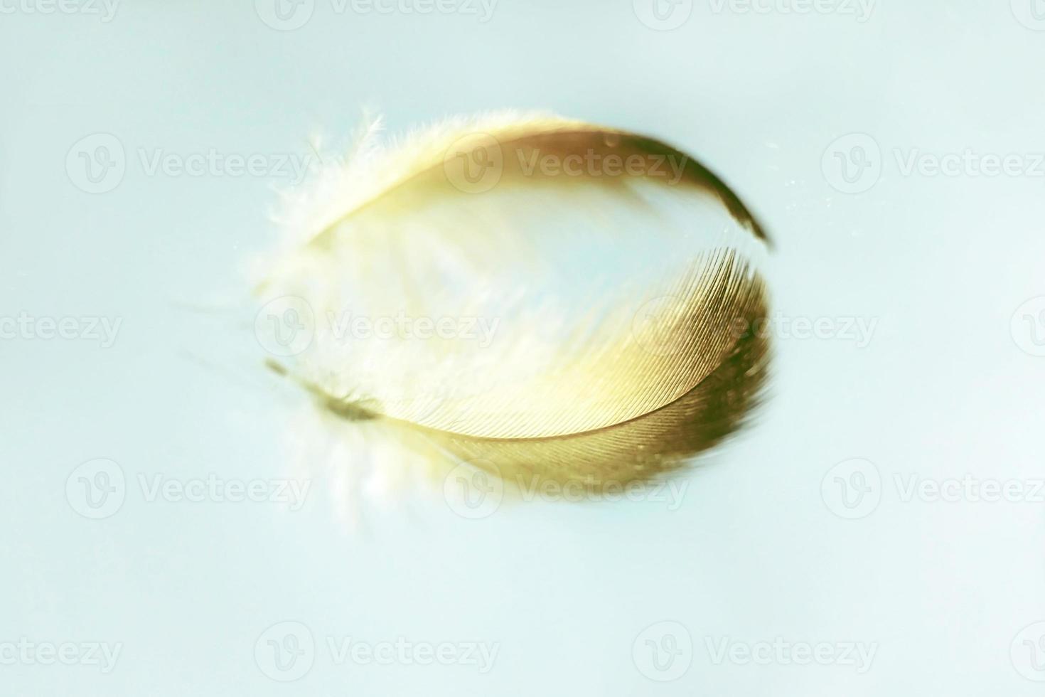 una increíble imagen macro de una pluma en un espejo con un hermoso reflejo que la hace sentir tranquila y pacífica foto