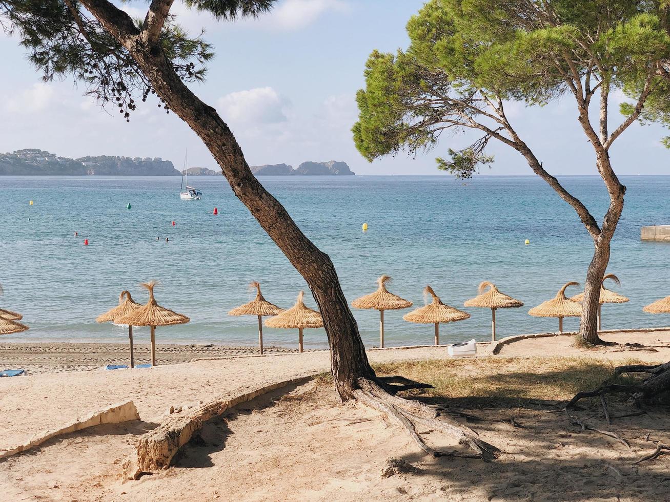 vacaciones de verano en la playa foto