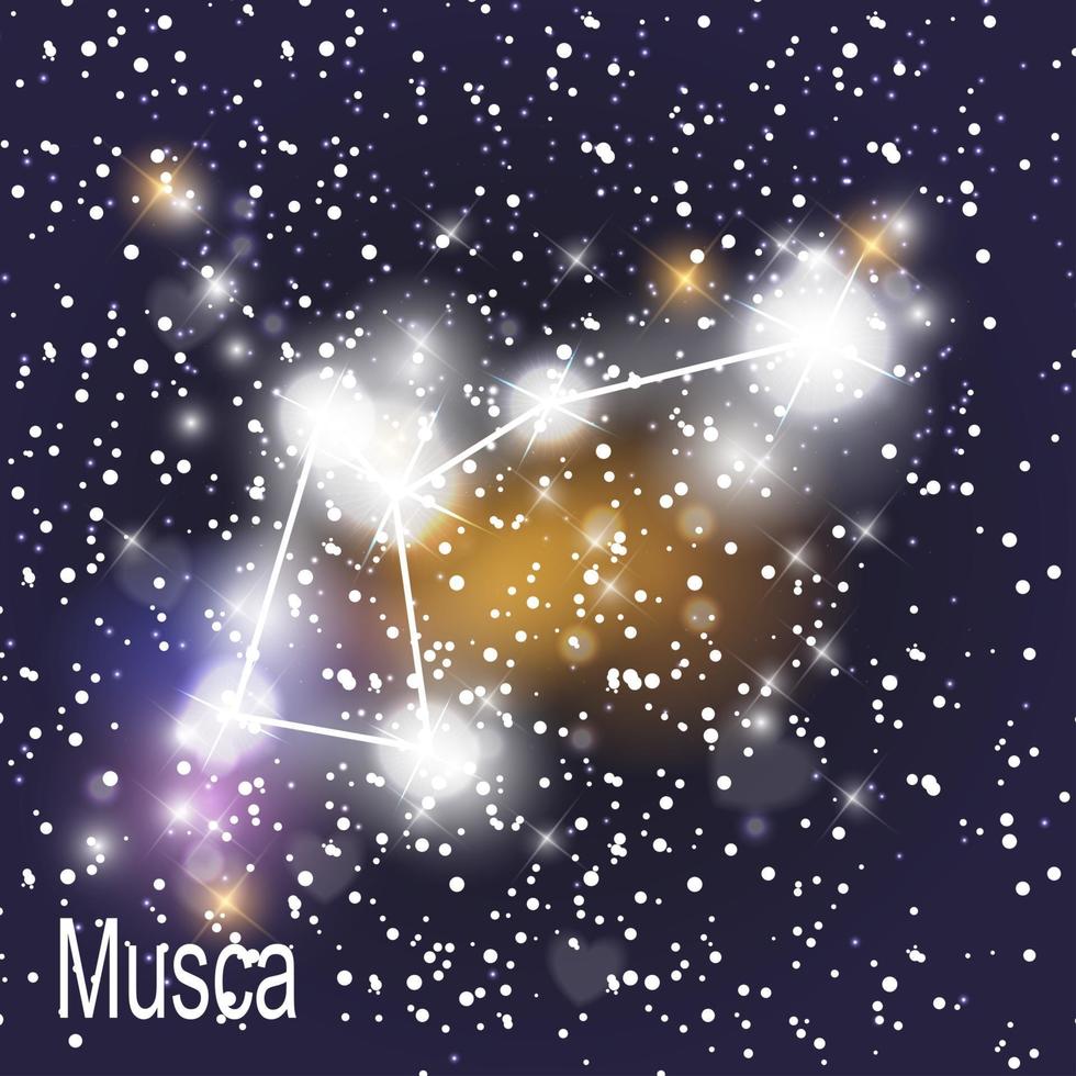 Musca Constellation with Beautiful Bright Stars on the Background of Cosmic Sky Vector Illustration