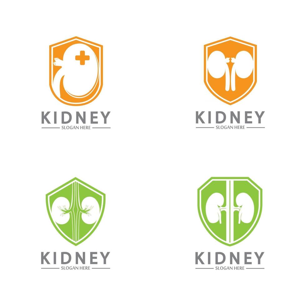 Kidney Shield Logo Template Design Vector