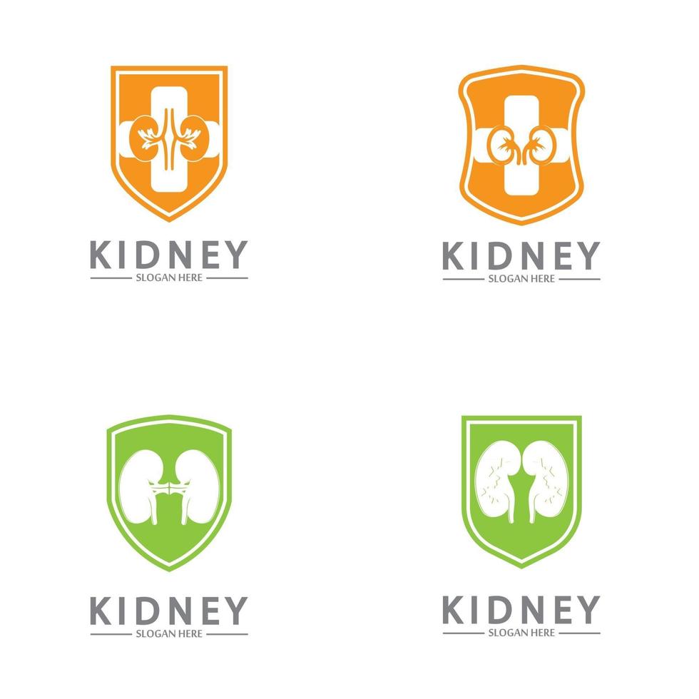 Kidney Shield Logo Template Design Vector