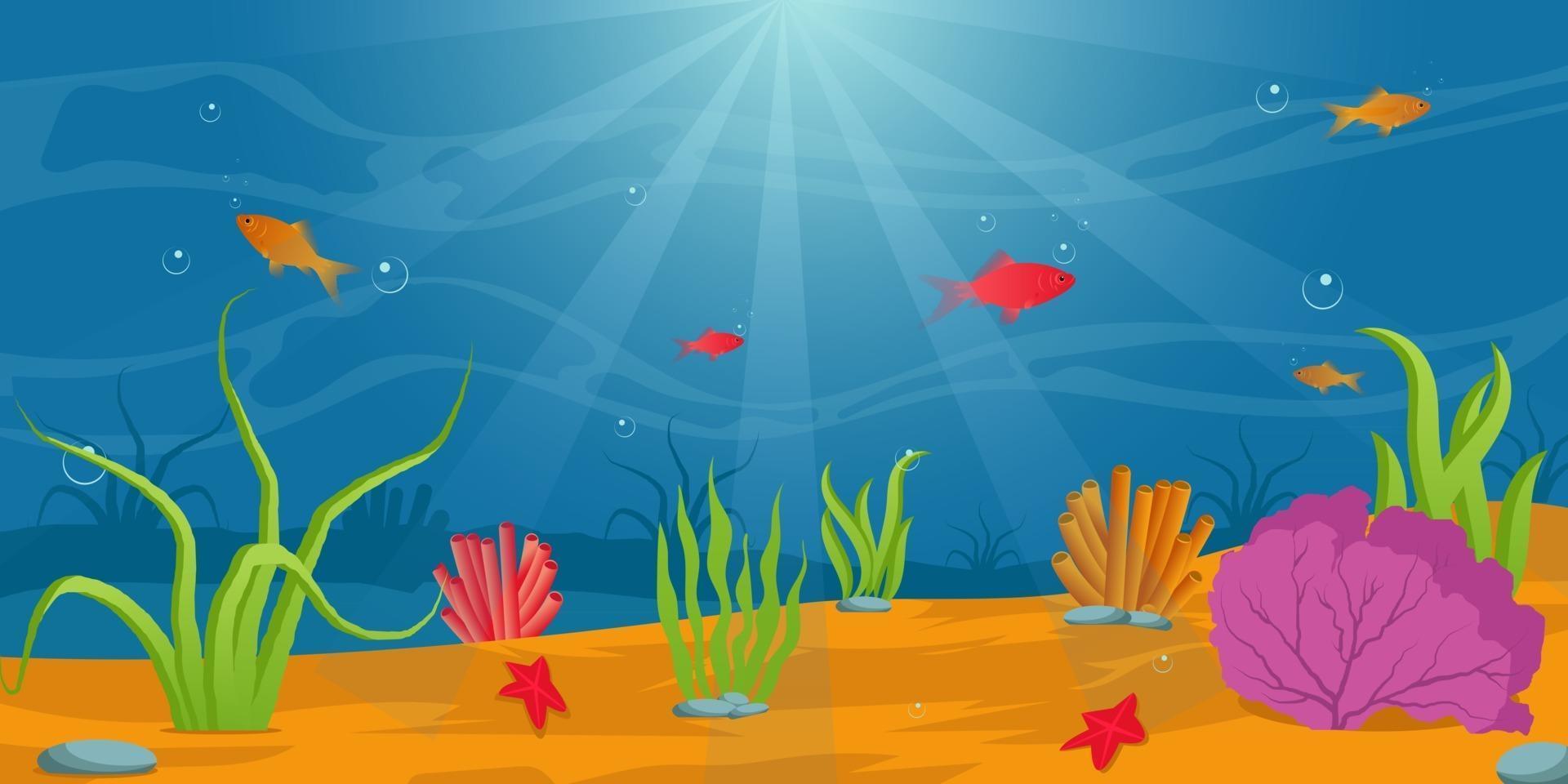 Underwater Beautiful  Background vector