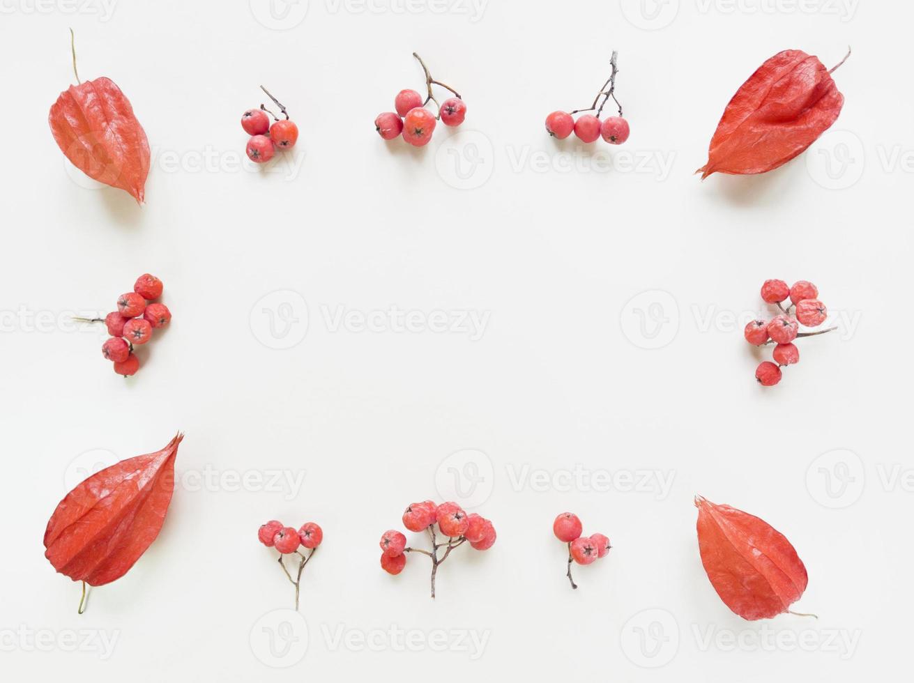 Physalis and branches of rowan on a beige background Flat lay with copy space photo