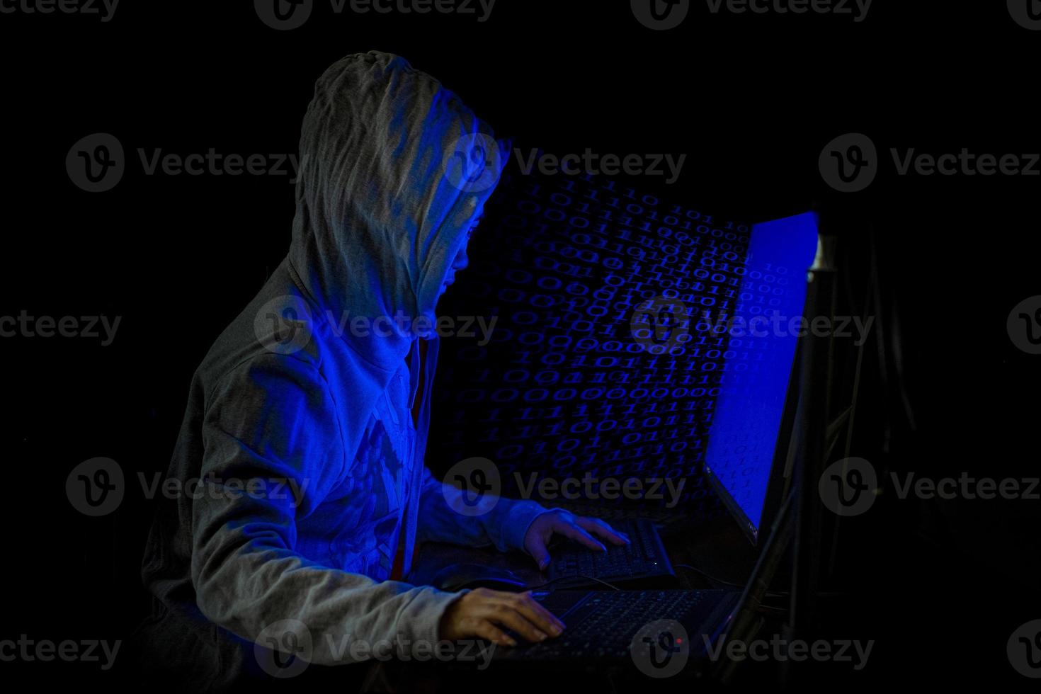 Women hacker breaks into government data servers photo